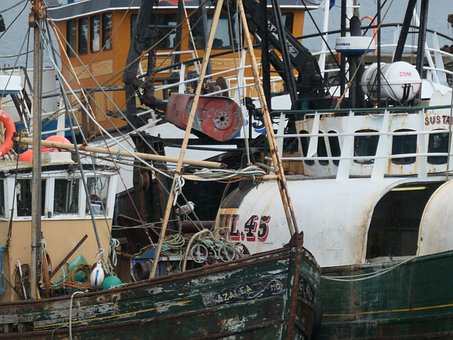 Free Port Ships photo and picture