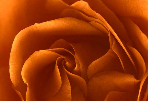 Free Background Texture photo and picture