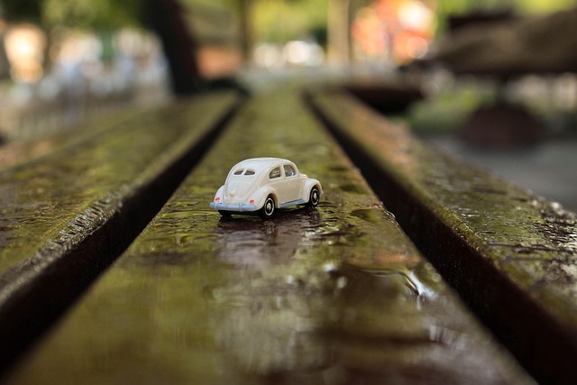 Free Car Rain photo and picture