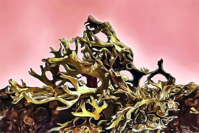Free plant structure nature illustration