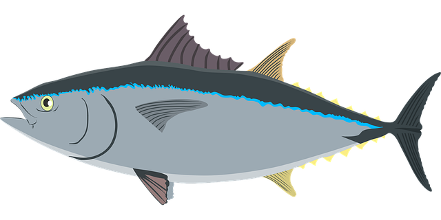Free tuna fish sea vector
