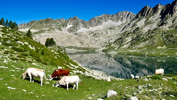 Free Mountain Lake photo and picture