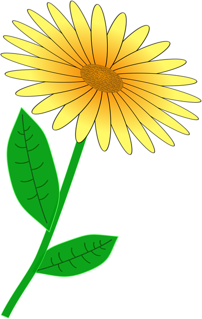 Floare, Plante, Flori, A Inflori