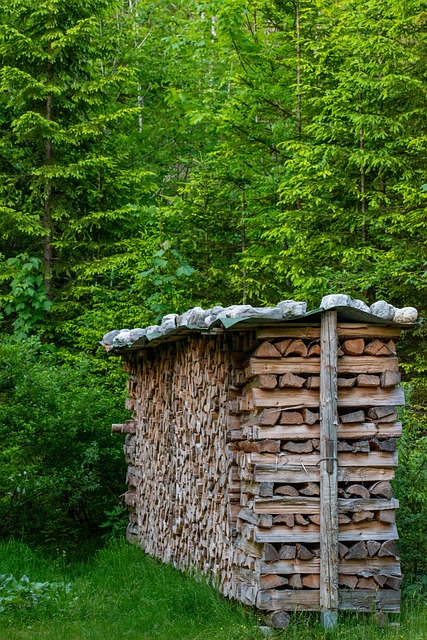 Free Wood Firewood photo and picture