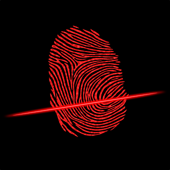 Vingerafdruk, Scanner, Veiligheid