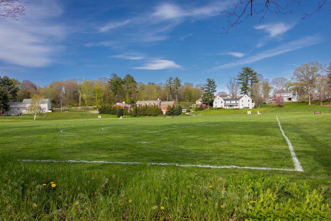 firm ground soccer field