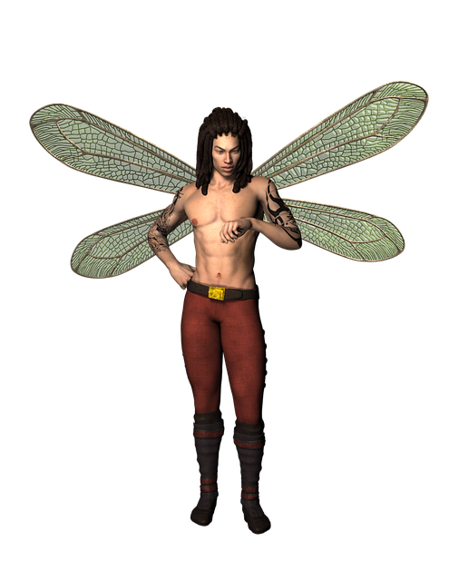 Free fairy fantasy wings illustration