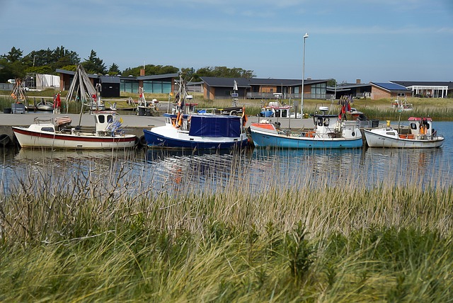 Båter, Hus, Brygge, Siv, Vann, Nordsjøen