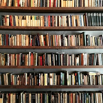 Free Library Bookshelf photo and picture