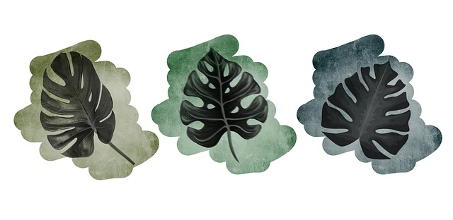 Free boho sheet plant illustration