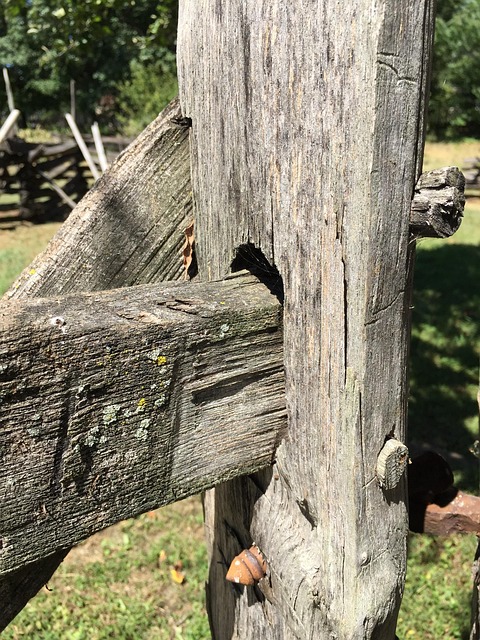 Holz, Gemeinsam, Zaun