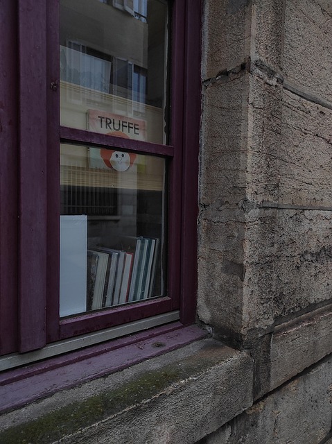 Free France Dijon photo and picture