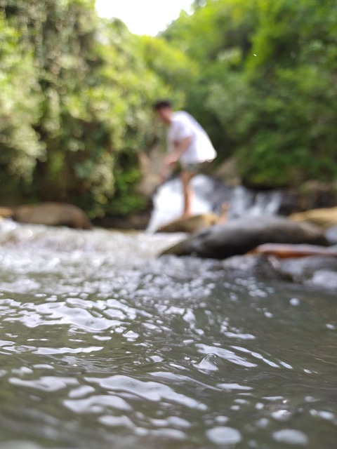 Free Waterfall Rocks photo and picture