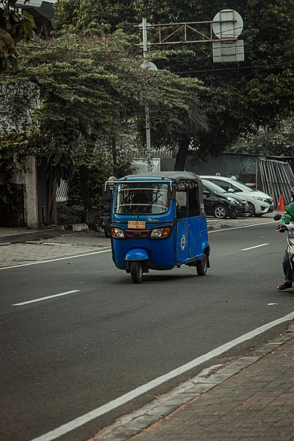 Free Bajaj Transportation photo and picture