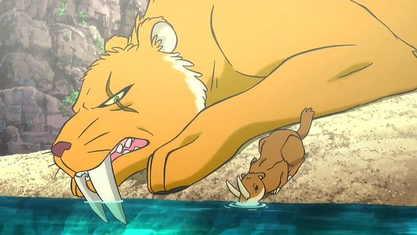 Smilodon, Sabeltann, Utryddet, Tiger