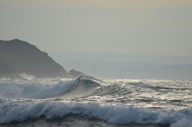 Free Sea Beach photo and picture