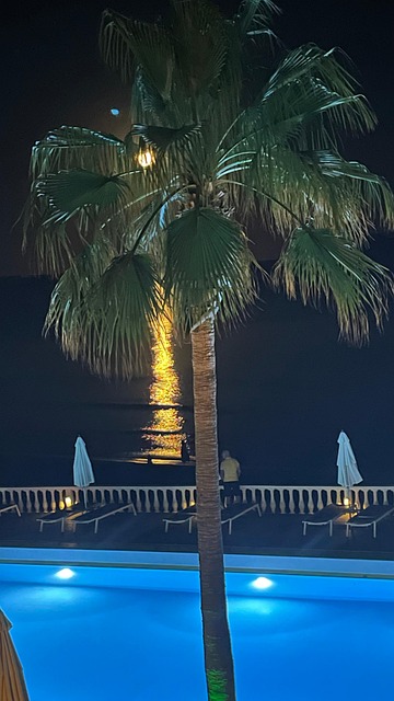 Free Moon Beach photo and picture