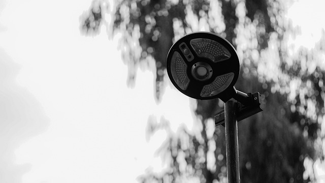 Free Light Lamp photo and picture