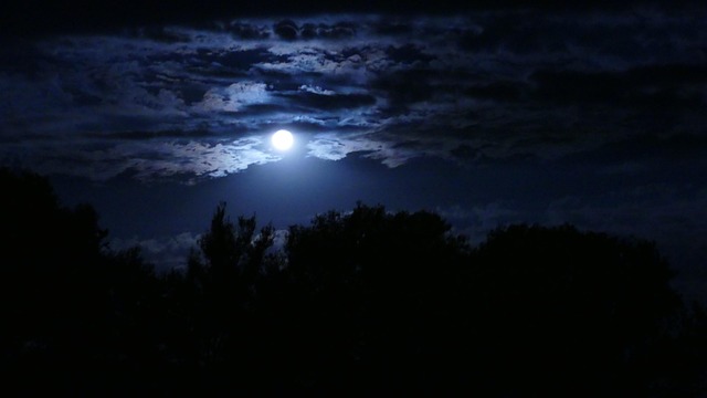 Super Lua Cheia - Foto gratuita no Pixabay - Pixabay