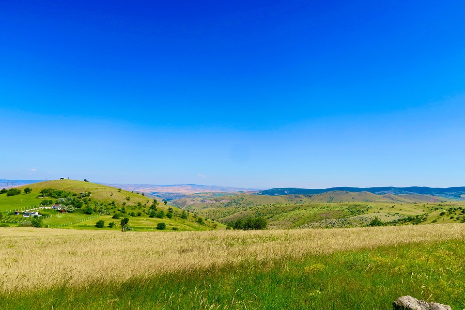 fields-7325044_960_720.jpg