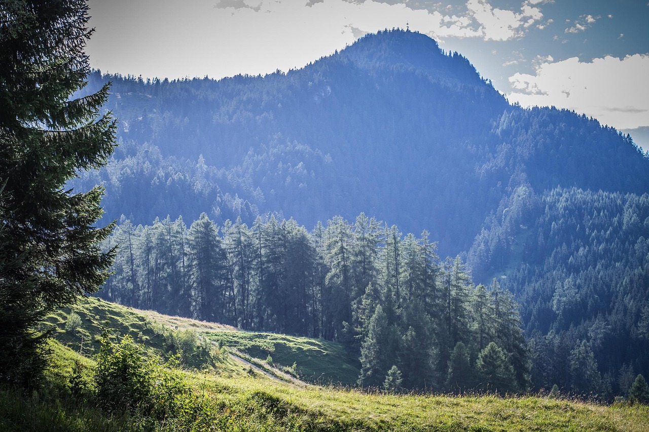Plus de 40 000 images de Prairie De Montagne et de Paysage