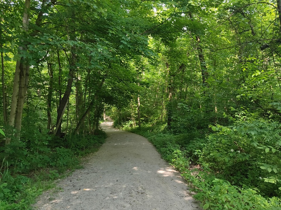 Plimbare Plimbare In Natura Peisaj - Fotografie gratuită pe Pixabay