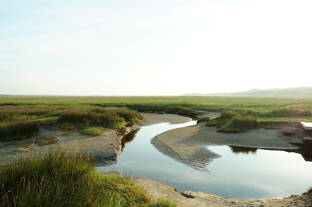 Zee, Strand, Duinen, Zand, Eiland