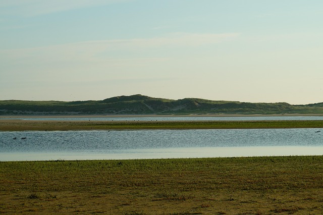 Zee, Strand, Natuur, Duinen, Landschap