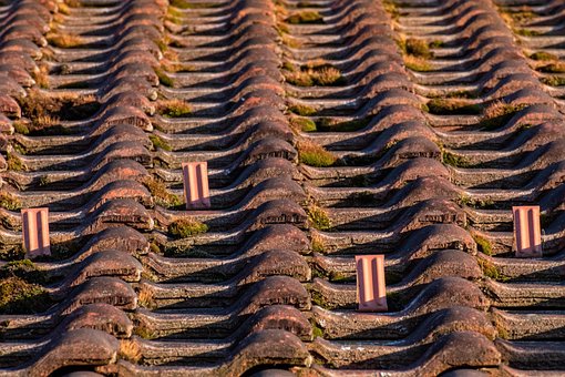 Free Roof Roof Tiles photo and picture