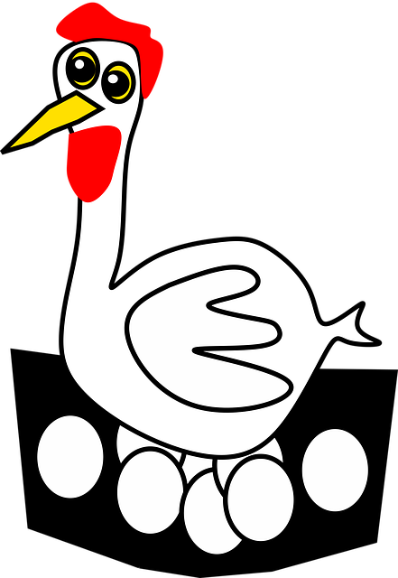 Free eggs nature chicken vector
