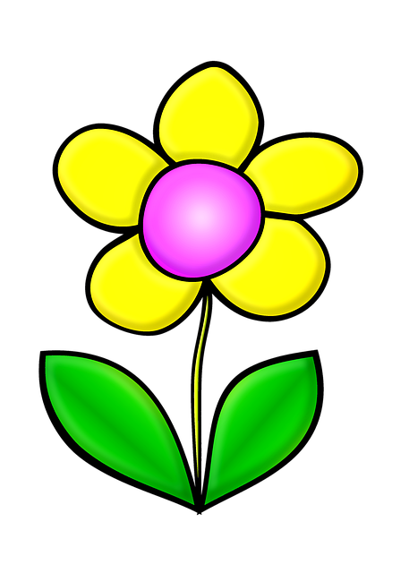Floare, Frunze, Petale, Grădină, Natura