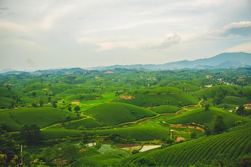 Free Nature Landscape photo and picture