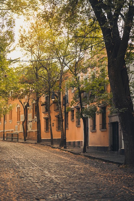 Free Urban Mexico City photo and picture