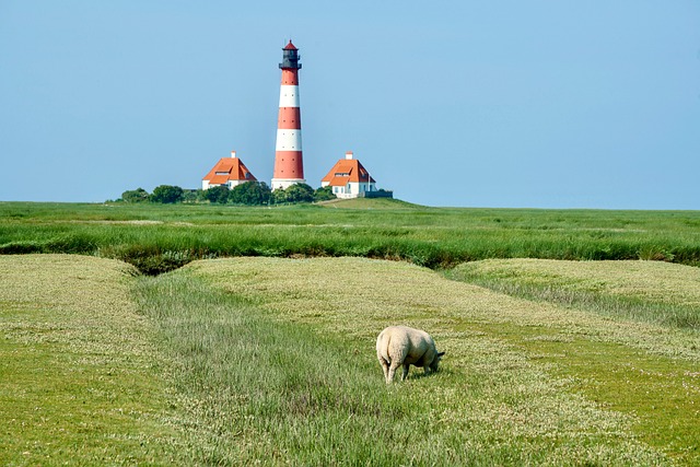 Lighthouse, nature, sea and tower — photo by 165106