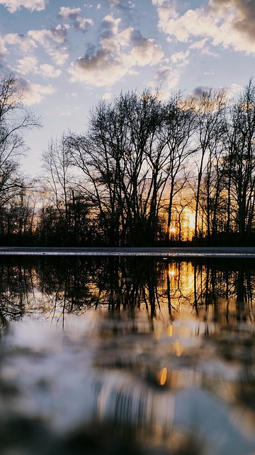 Free Nature Sunset photo and picture