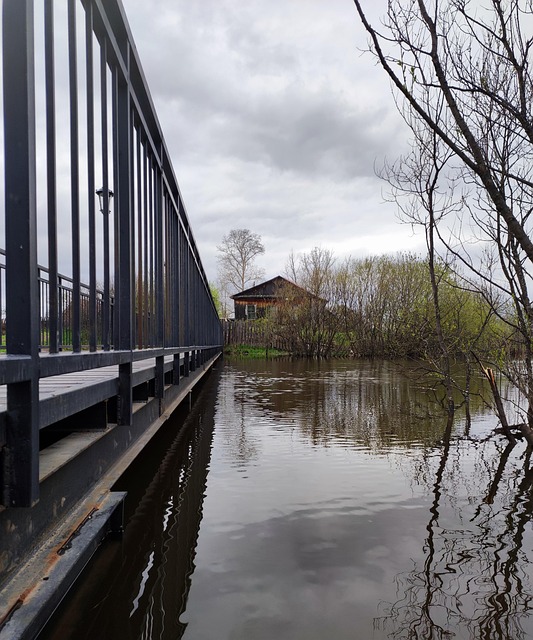 Free Bridge Water photo and picture