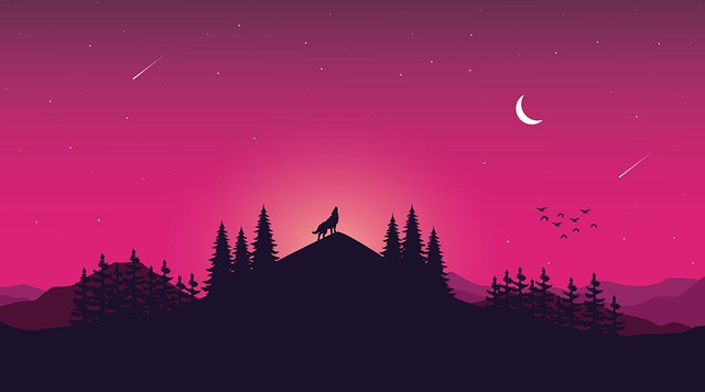 Free wolf trees landscape illustration