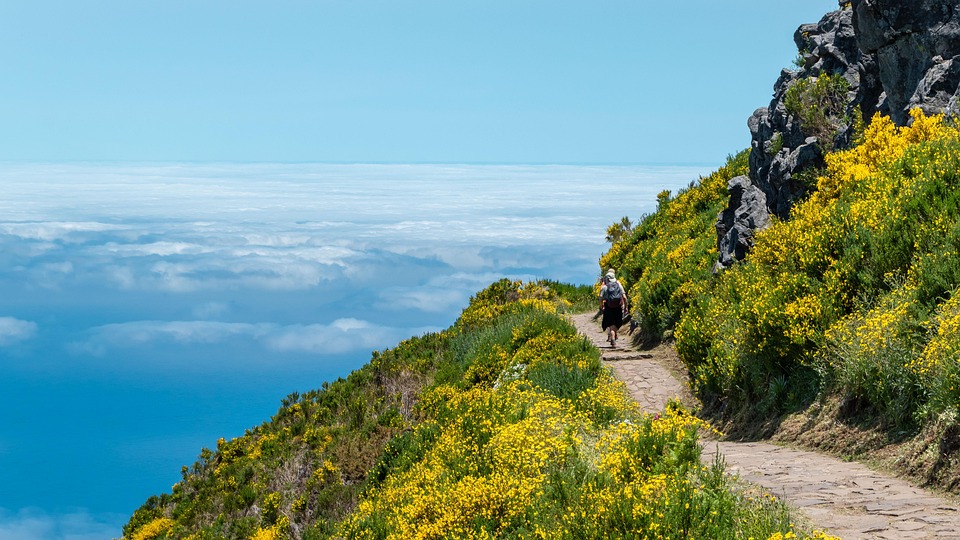 Sweet Delights: Exploring Madeira’s Irresistible Desserts