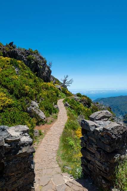 Madeira, Spanien, Natur, Bjerge, Rejse