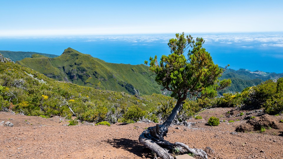 Conquer the Peaks: The Best Hiking Routes in Madeira