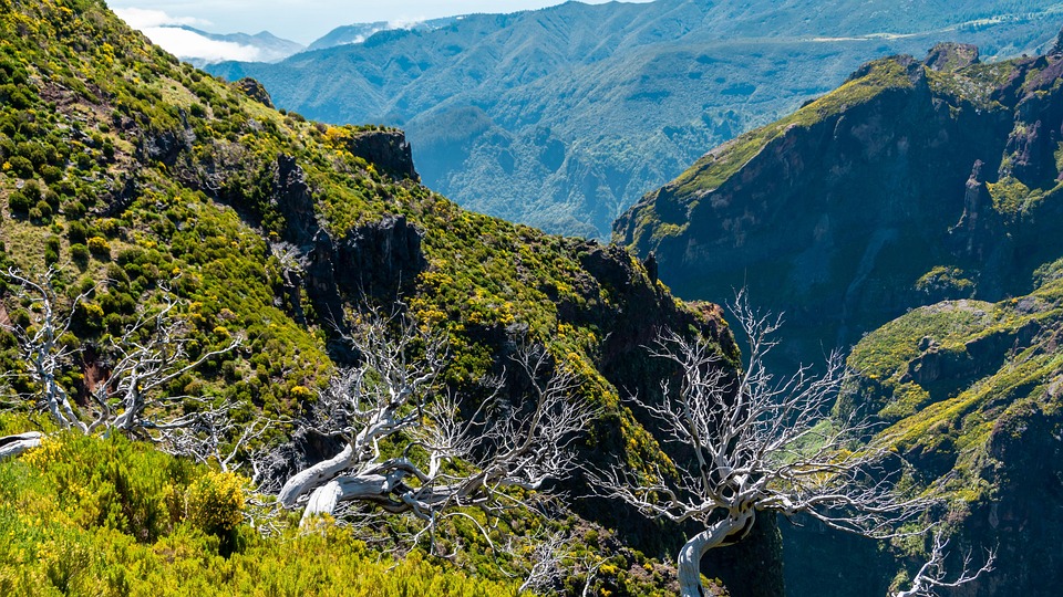 Nature’s Masterpieces: Top Viewing Points in Beautiful Madeira