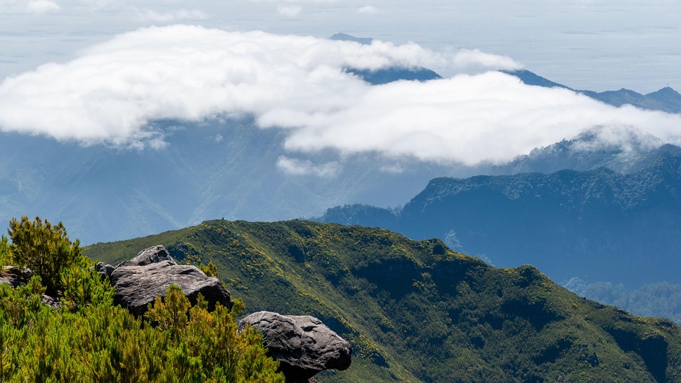 The Best Levada Walks in Madeira: Must-Do Trails for Every Hiker
