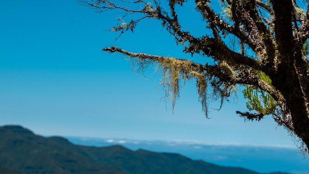 Madeira, Spanien, Landskab, Natur