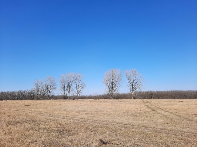 Free Autumn Drought photo and picture