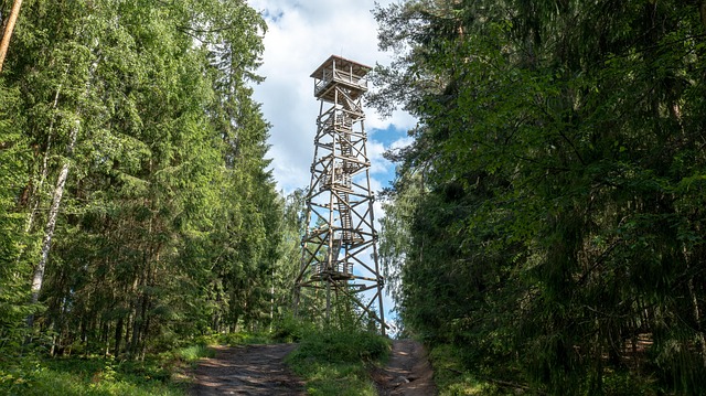 Fire Lookout Tower Forest Free photo on Pixabay Pixabay
