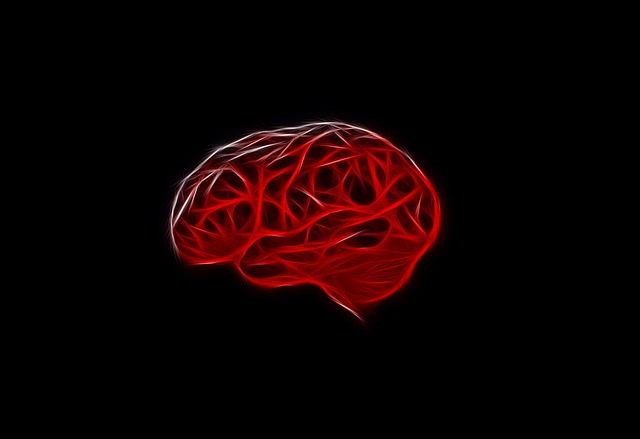 Free seo brain search engine optimization illustration