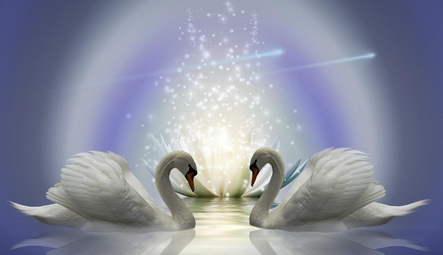 Free wallpaper swans lotus flower illustration