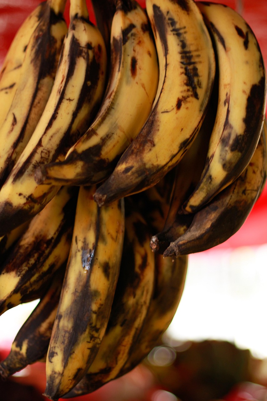 Banana Plantain Market Free photo on Pixabay Pixabay