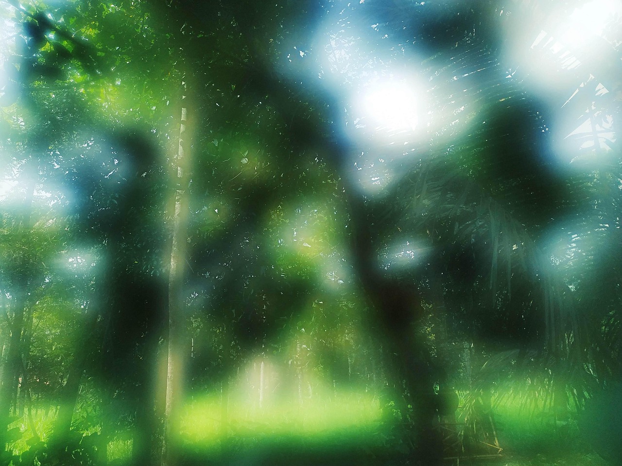 Abstract Blur Nature - Free photo on Pixabay - Pixabay