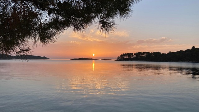 Free Water Mirrored photo and picture